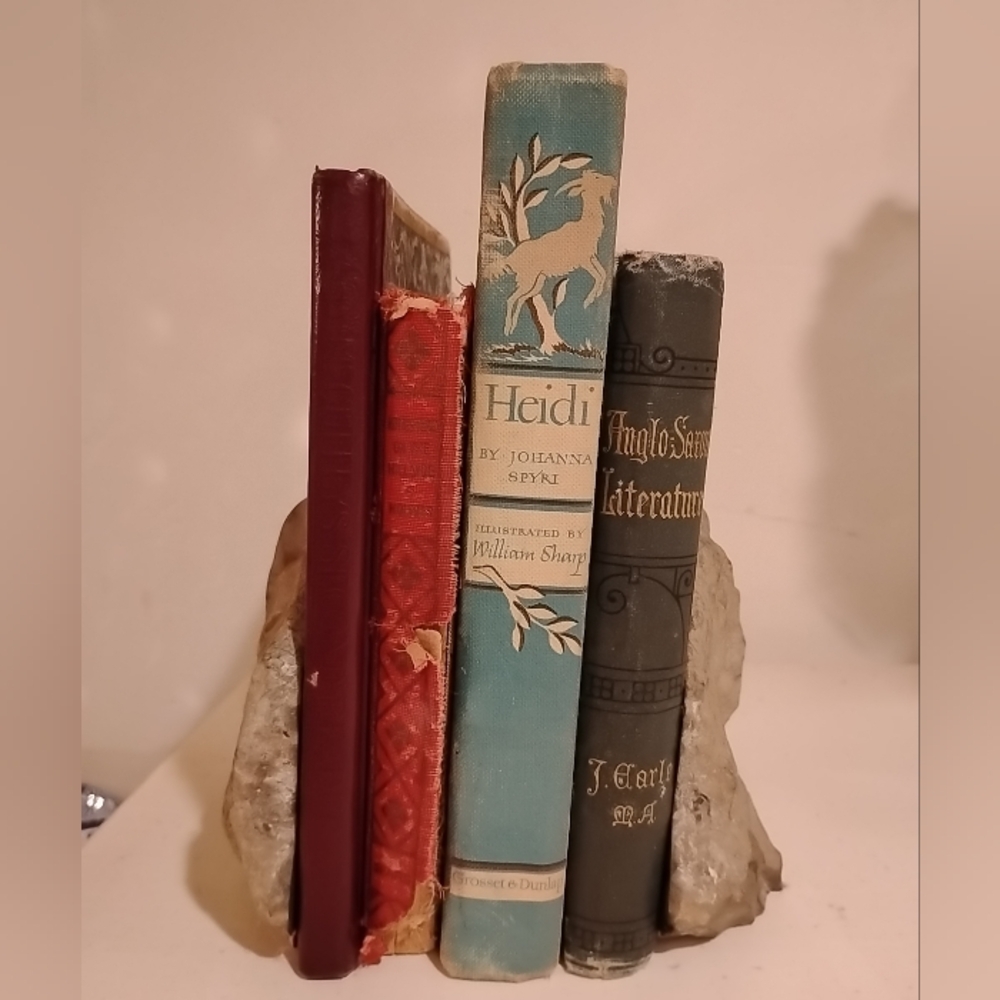 Ammonite Fossil Authentic Matched Pair Set Polished Natural Eco Decor Bookends - Picture 5 of 10
